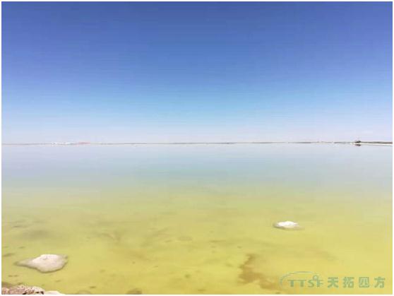 天拓案例:AS 410 DCS控制系統(tǒng)在鹽化工行業(yè)中的應(yīng)用 天拓案例:AS 410 DCS控制系統(tǒng)在鹽化工行業(yè)中的應(yīng)用